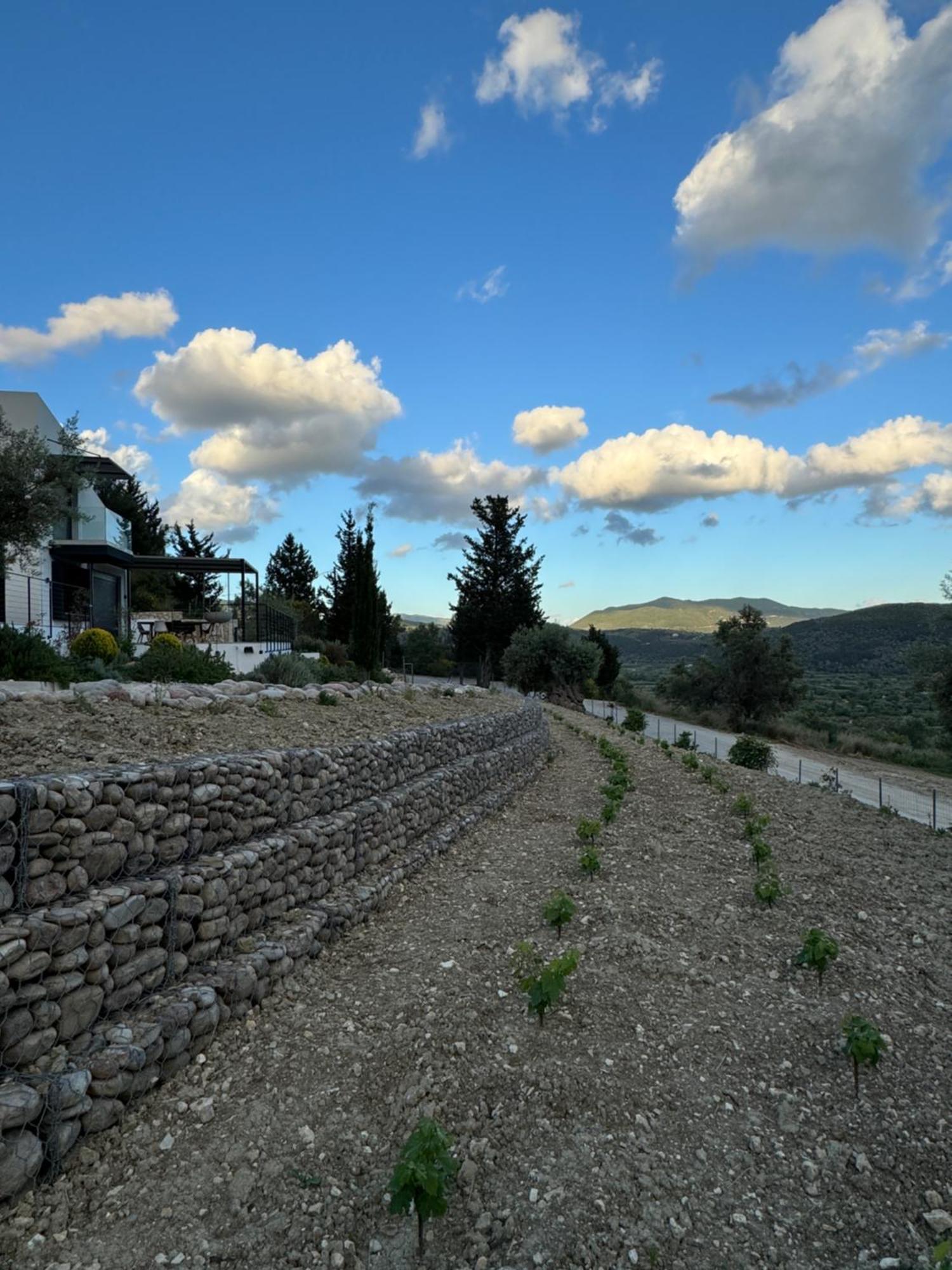 Vasiliki Houses 外观 照片