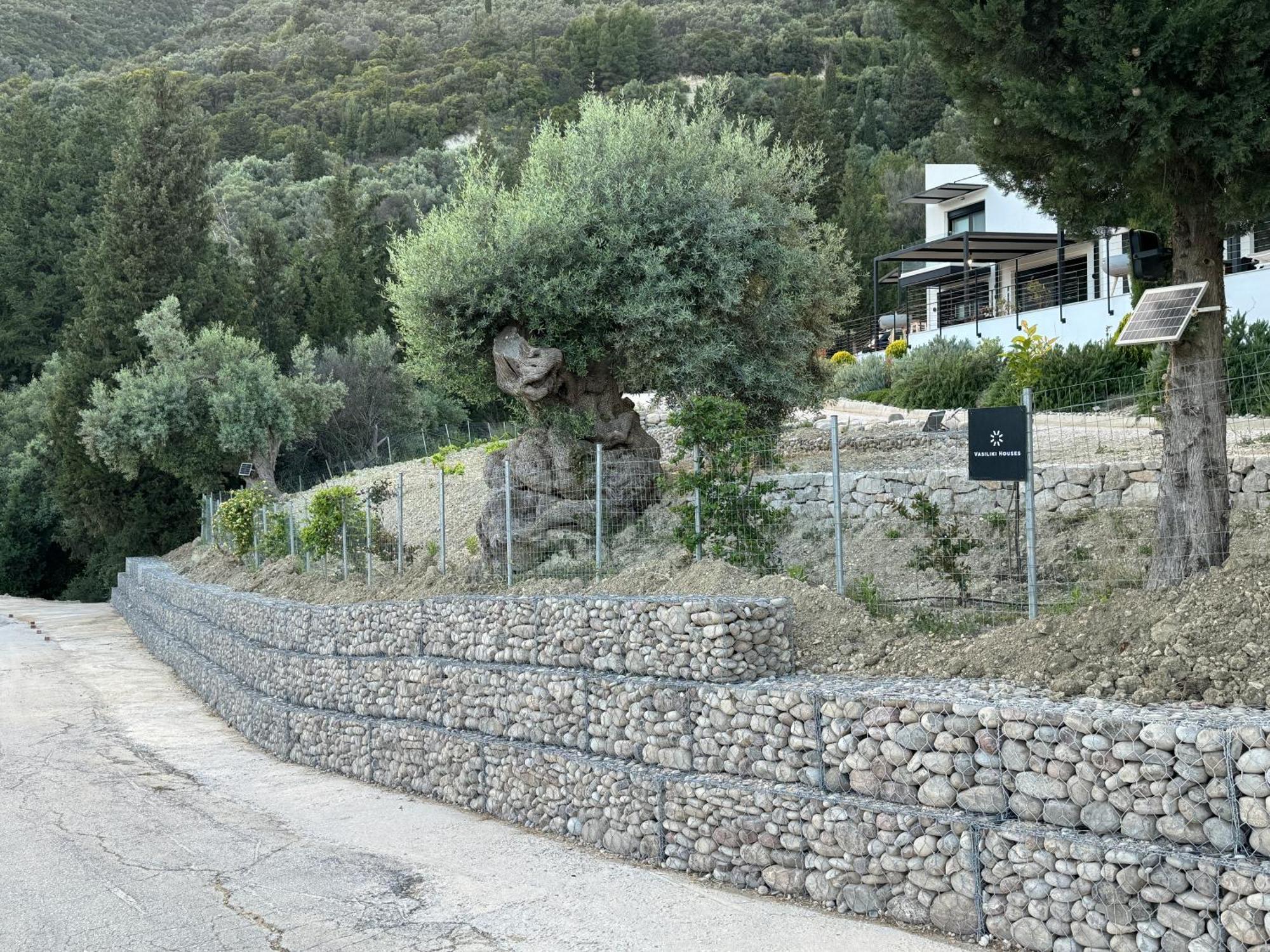 Vasiliki Houses 外观 照片